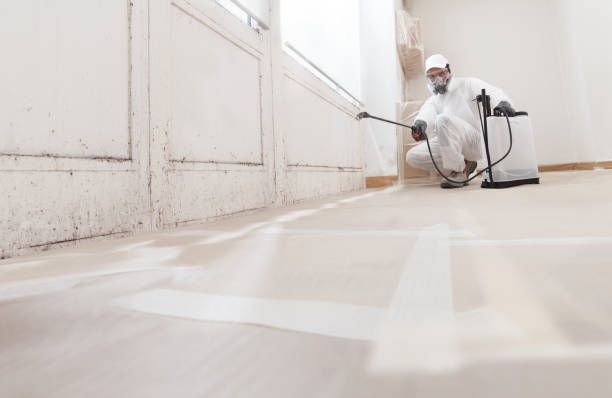 24/7 Emergency Mold Remediation experts in Goodyear, AZ